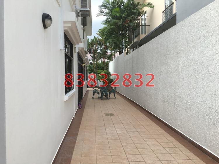 Serangoon Garden Estate (D19), Terrace #114362582